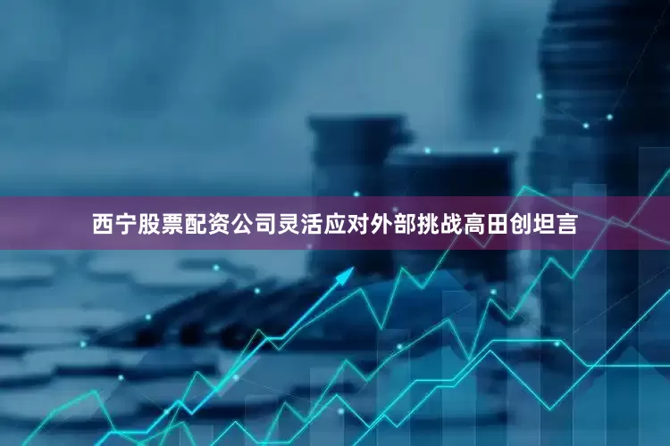 西宁股票配资公司灵活应对外部挑战高田创坦言