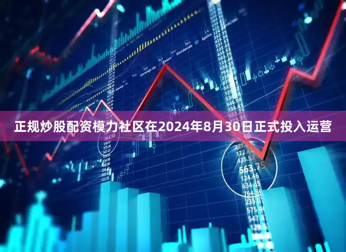 正规炒股配资模力社区在2024年8月30日正式投入运营